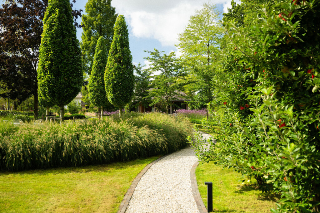 Groene tuin